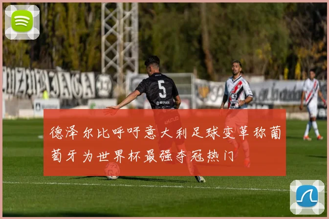德泽尔比呼吁意大利足球变革称葡萄牙为世界杯最强夺冠热门